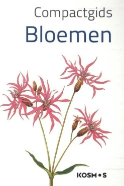 Bloemen compact gids kosmos