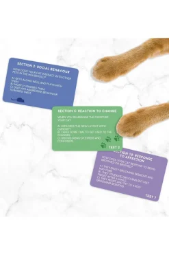 Jouets Cat Personality Test