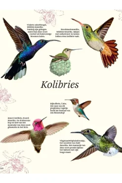 Livre Het Dikke Boek Van Alle Bijzondere Vogels