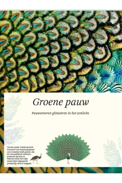 Livre Het Dikke Boek Van Alle Bijzondere Vogels