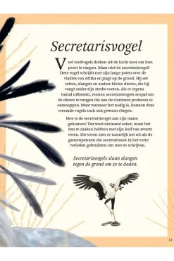 Livre Het Dikke Boek Van Alle Bijzondere Vogels
