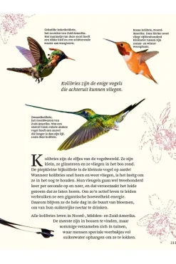 Livre Het Dikke Boek Van Alle Bijzondere Vogels