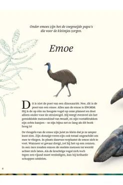 Livre Het Dikke Boek Van Alle Bijzondere Vogels