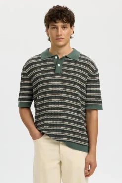 Polo Dane Color Structure