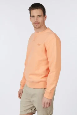 Pull Essential Logo Crew Sweatshirt