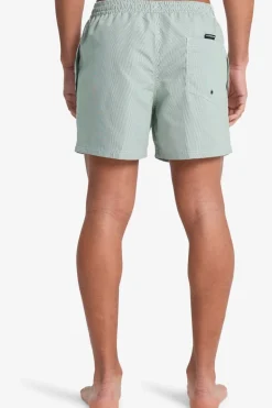 Short De Bain Everyday Deluxe Volley 15