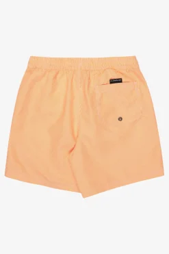 Short De Bain Everyday Deluxe Volley Yth 14