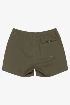 Short De Bain Everyday Flex Volley 15