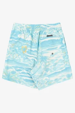 Short De Bain Everyday Printed Volley Yth 14