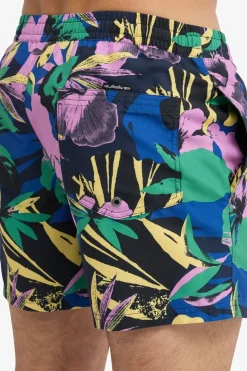 Short De Bain Everyday Printed Volley 15