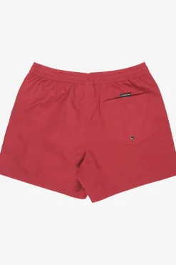 Short De Bain Everyday Solid Volley 15In