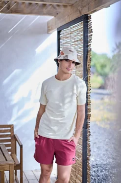 Short De Bain Everyday Solid Volley 15In