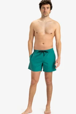 Short De Bain Everyday Solid Volley 15In
