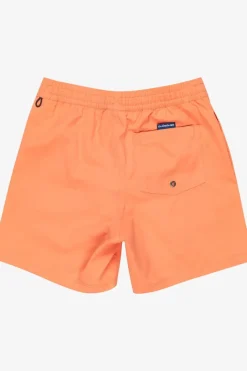 Short De Bain Everyday Solid Volley Yth 14