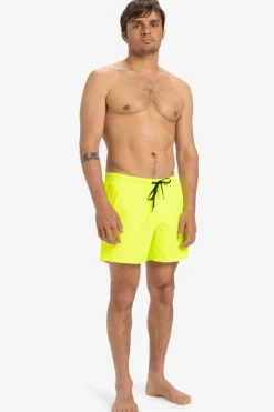 Short De Bain Everyday Solid Volley 15In