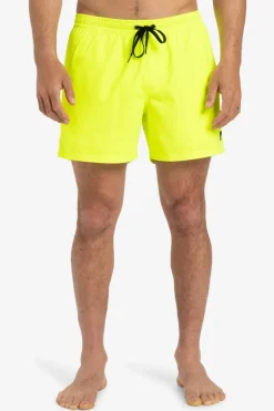 Short De Bain Everyday Solid Volley 15In