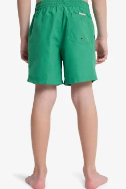 Short De Bain Everyday Volley Yth 14