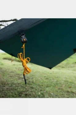 Tarp