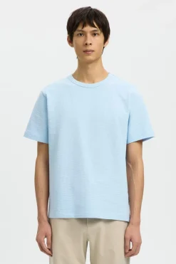 T-Shirt Sander